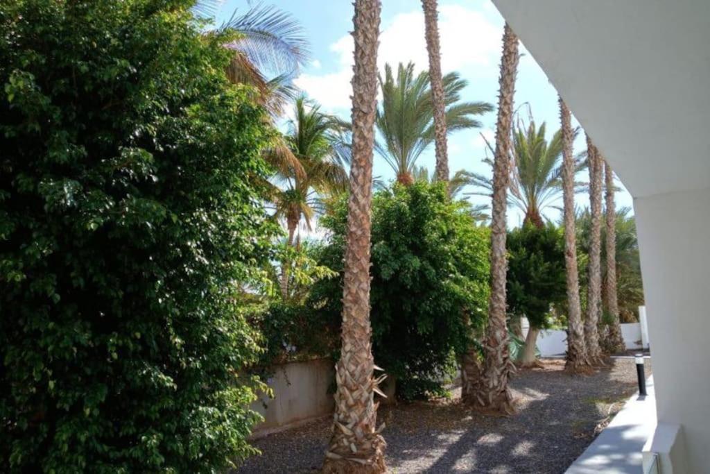 Appartamento Las Palmas Tarajalejo Esterno foto