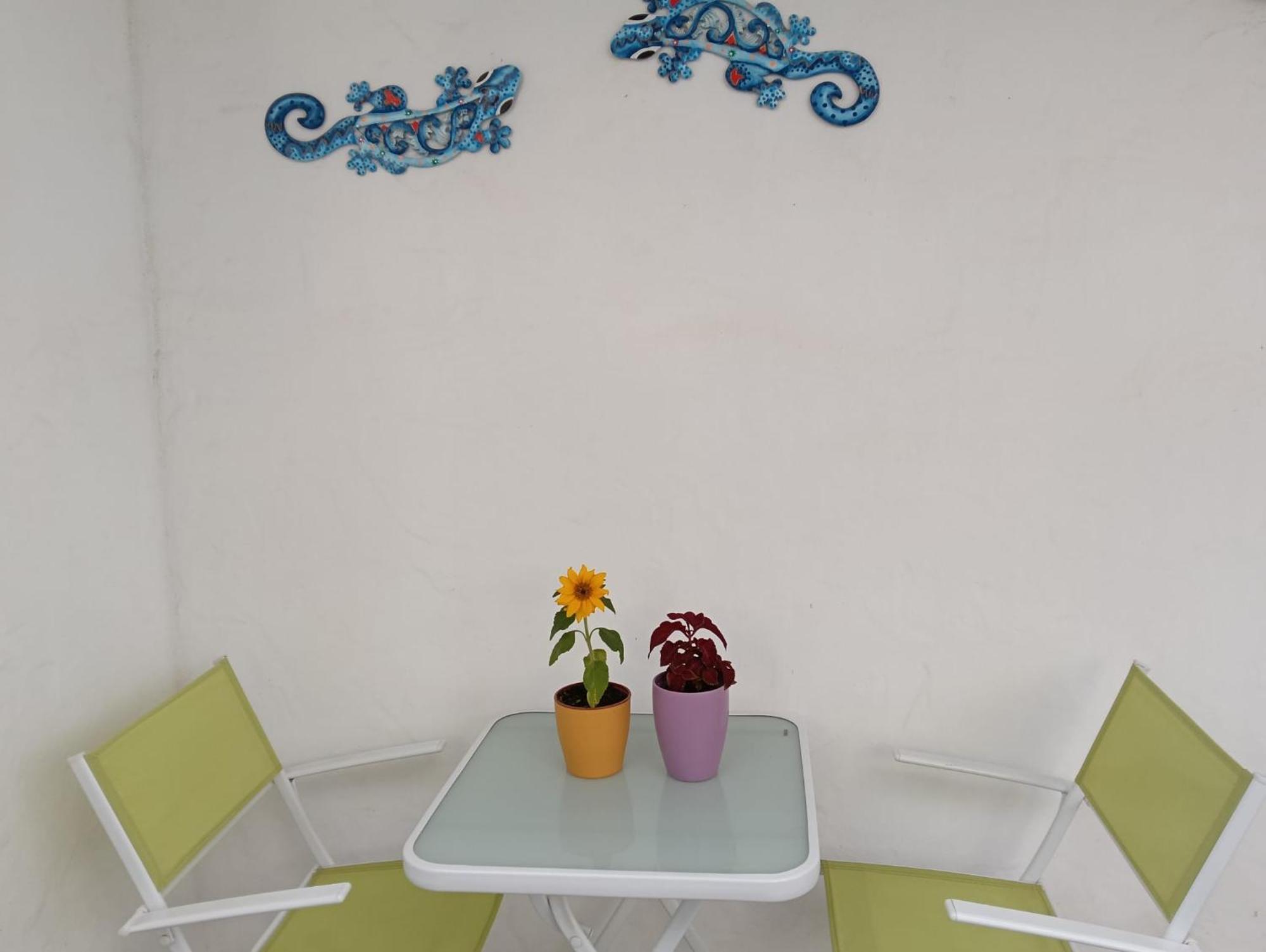 Appartamento Las Palmas Tarajalejo Esterno foto